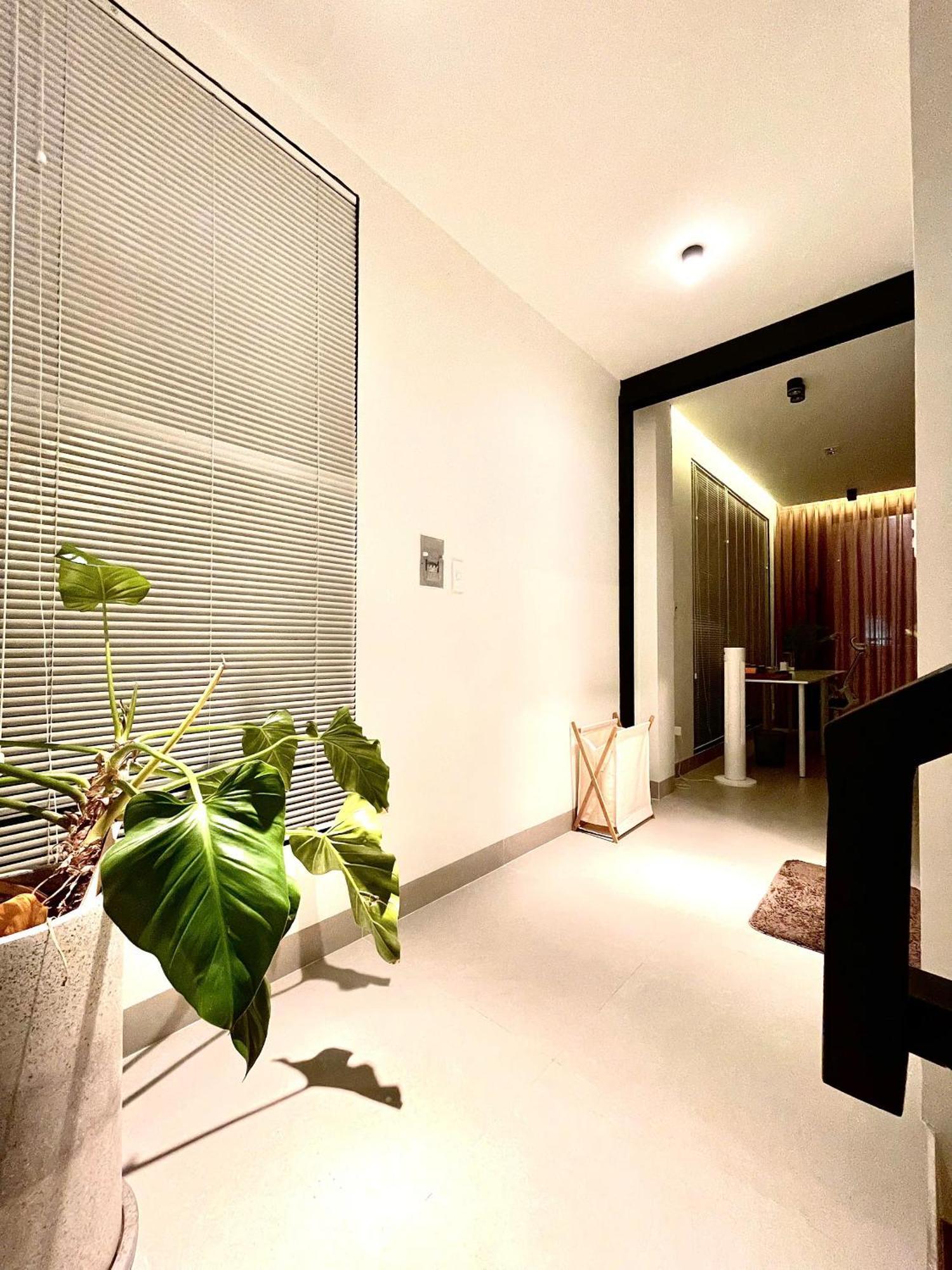 Owl's Night - Keo House * TP. Hồ Chí Minh